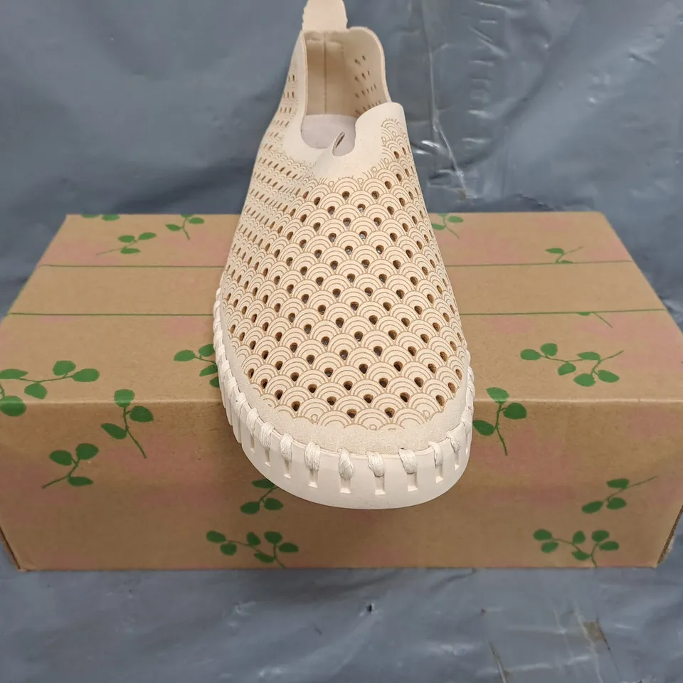 BOXED PAIR OF ILSE JACOBSEN SHOES IN BEIGE SIZE EU 38