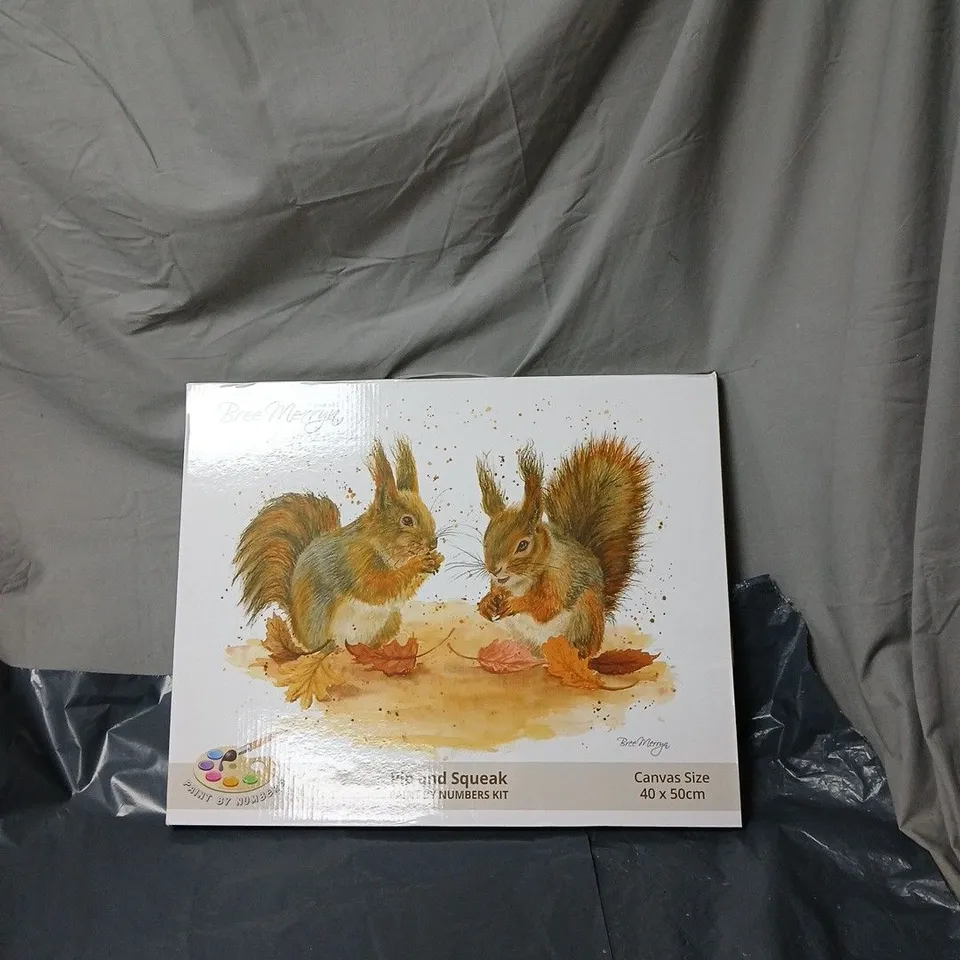BREE MERRYN SQUIRRELS PAINT-BY-NUMBERS KIT – CANVAS 40 X 50 CM