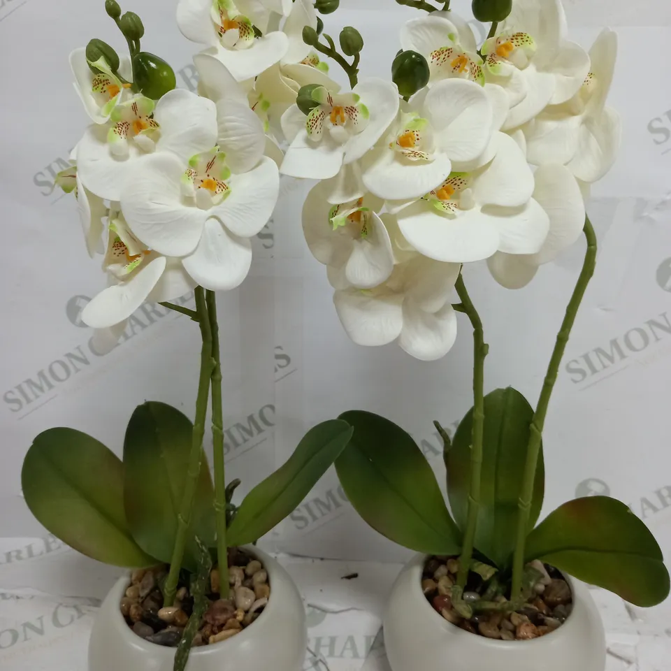 BOXED HOME REFLECTIONS SET OF TWO FAUX ORCHIDS IN WHITE