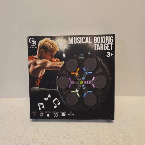 CAIDI TOYS MUSICAL BOXING TARGET – BOXED