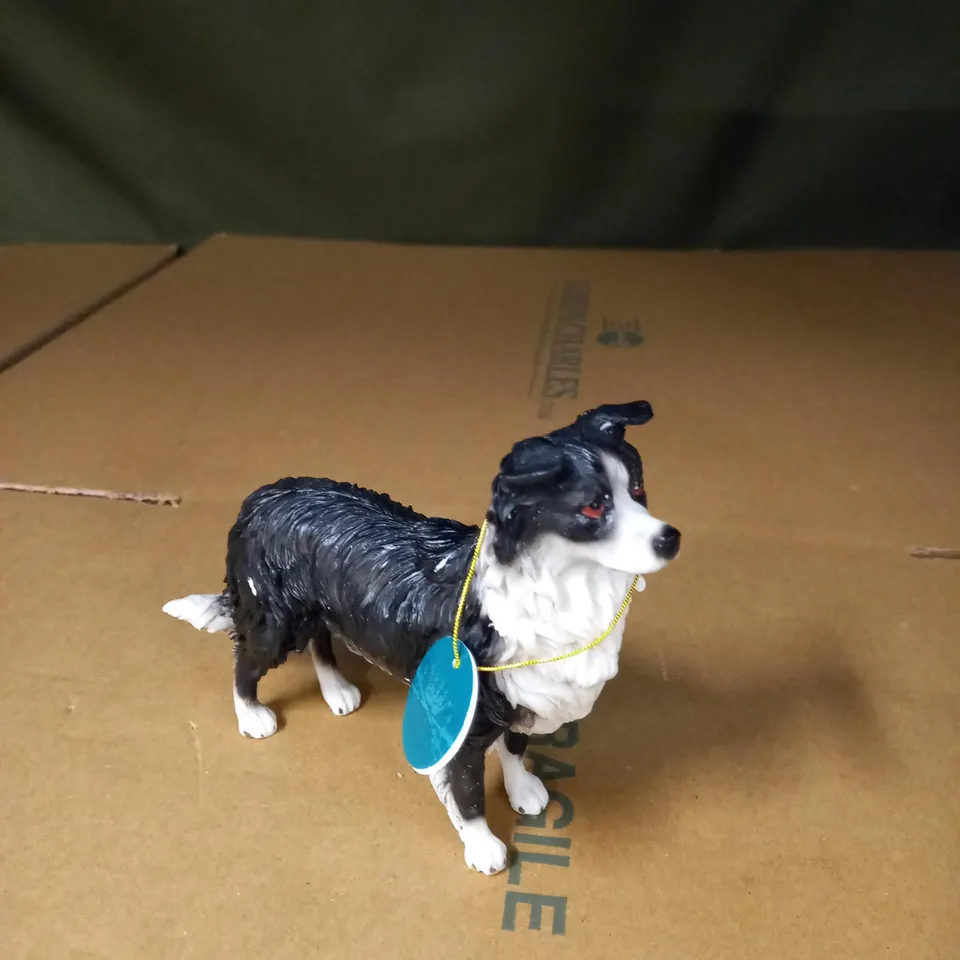 DOG STUDIES BY LEONARDO - BORDER COLLIE