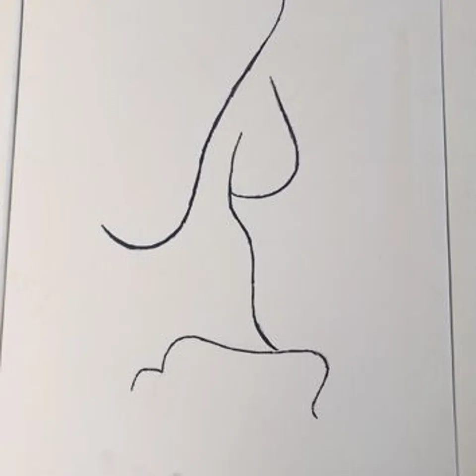 THREE ASSORTED ABSTRACT WOMEN NUDE NAKED LADY BODY LINE DRAWING ART CANVAS
