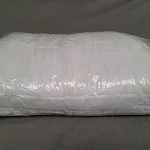 BAGGED 2 LUXURY PILLOWS