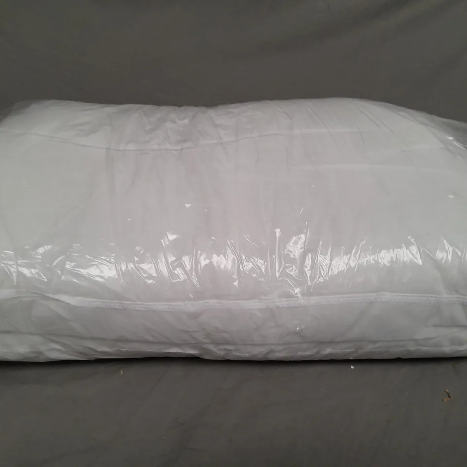 BAGGED 2 LUXURY PILLOWS