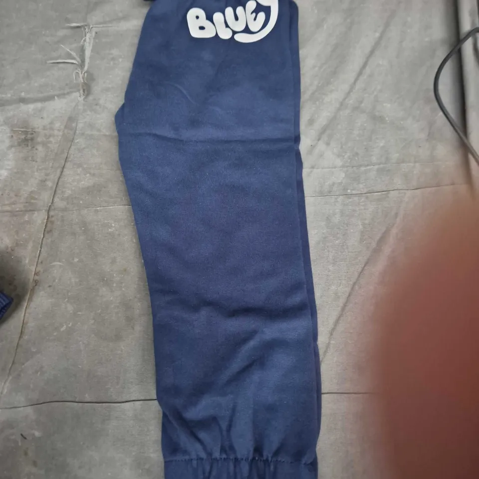 Bluey Kids' Navy 2-Piece Hoodie & Jogger Set, 18-24 Months