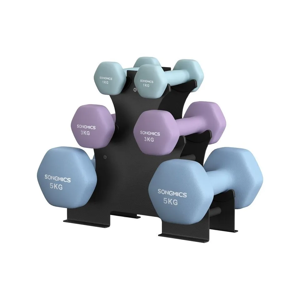 BOXED SONGMICS WEIGHT LIFTING DUMBBELL KIT WITH STORAGE STAND VINYL COATED - AQUA+ASH PURPLE+PALE BLUE