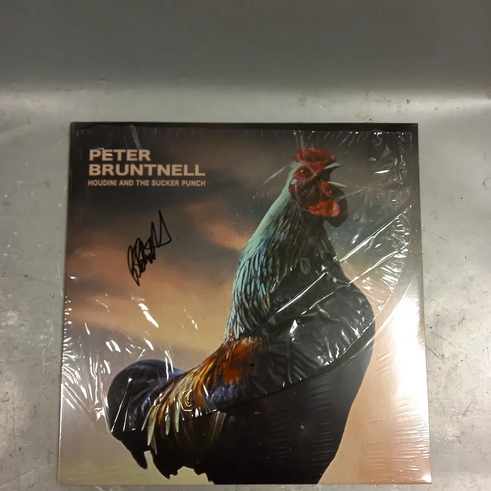 PETER BRUNTNELL HOUDINI AND THE SUCKER PUNCH SIGNED VINYL 