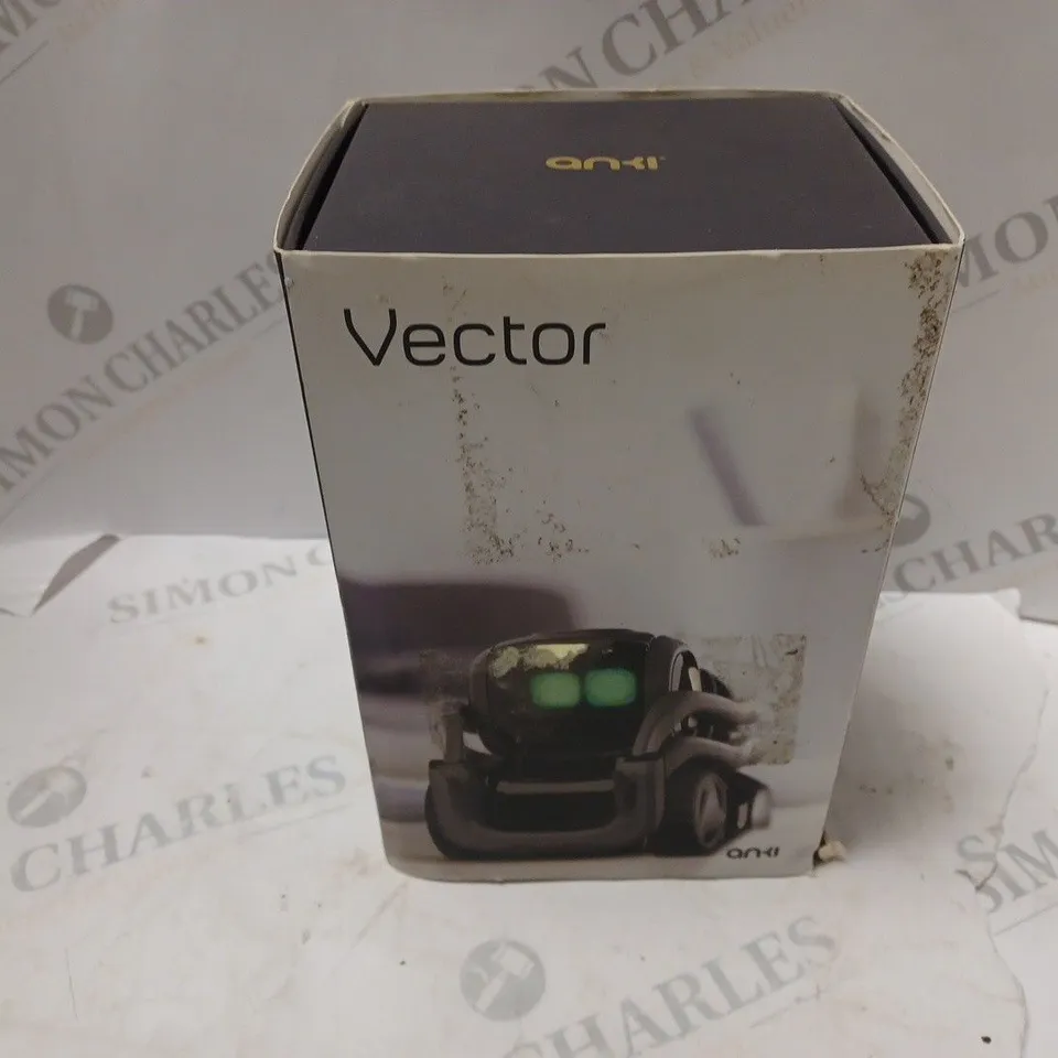 BOXED ANKI VECTOR