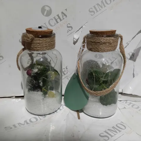 SARAH DAVIES SET OF 2 PRE LIT FOLIAGE GLASS JARS