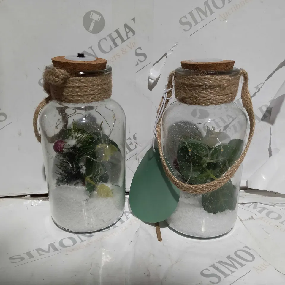 SARAH DAVIES SET OF 2 PRE LIT FOLIAGE GLASS JARS