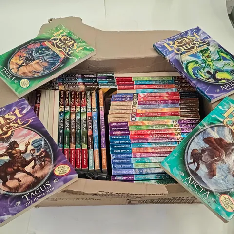 LOT OF APPROXIMATELY 45 ASSORTED BEAST QUEST BOOKS