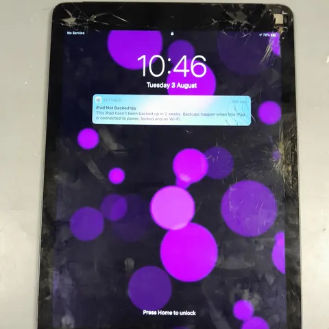APPLE IPAD AIR 2