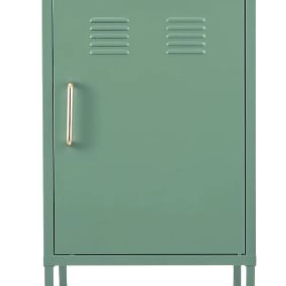 BRAND NEW BOXED BUNDLEBERRY BY AMANDA HOLDEN SINGLE STORAGE LOCKER GREEN