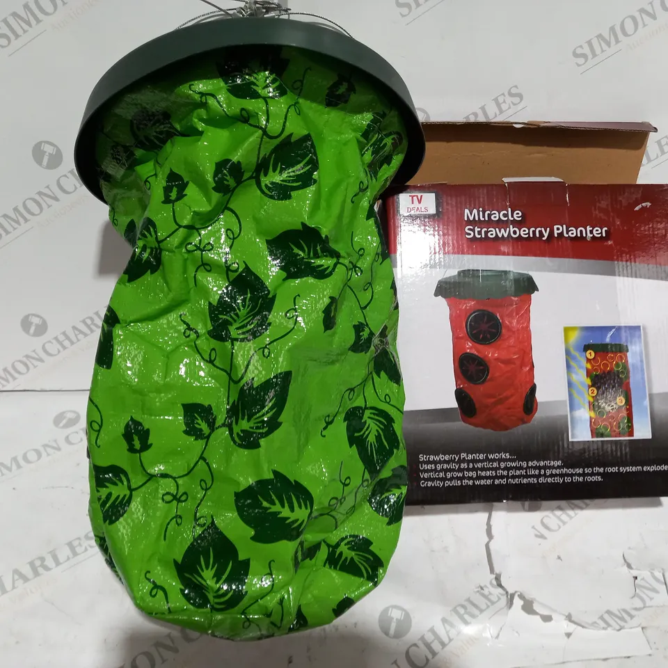 BOXED TV DEAL MIRACLE STRAWBERRY PLANTER 