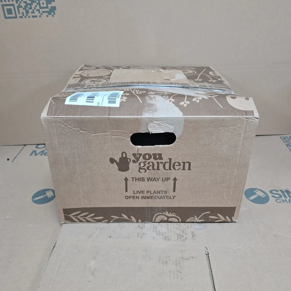 BOXED PAIR OF 15" LARGE EASY FILL HANGING BASKETS RRP £32.99