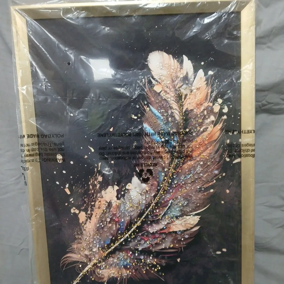 FRAMED FEATHER DESIGN PAINTING WITH DARK BACKGROUND