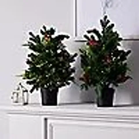 GARDEN REFLECTIONS DRESS YOUR DOOR COLLECTION 2 X 60CM PRE LIT