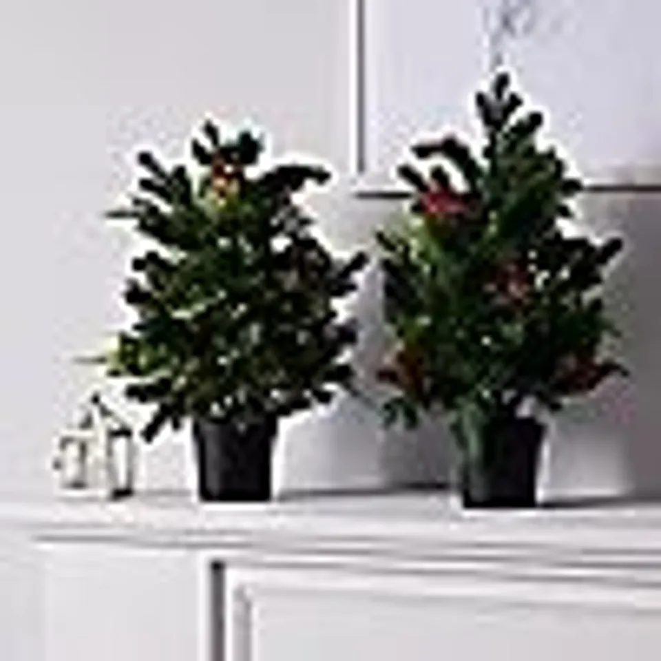 GARDEN REFLECTIONS DRESS YOUR DOOR COLLECTION 2 X 60CM PRE LIT