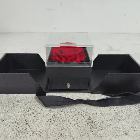 TANNESS PRESERVED RED ROSE & NECKLACE IN BLACK PRESENTATION BOX