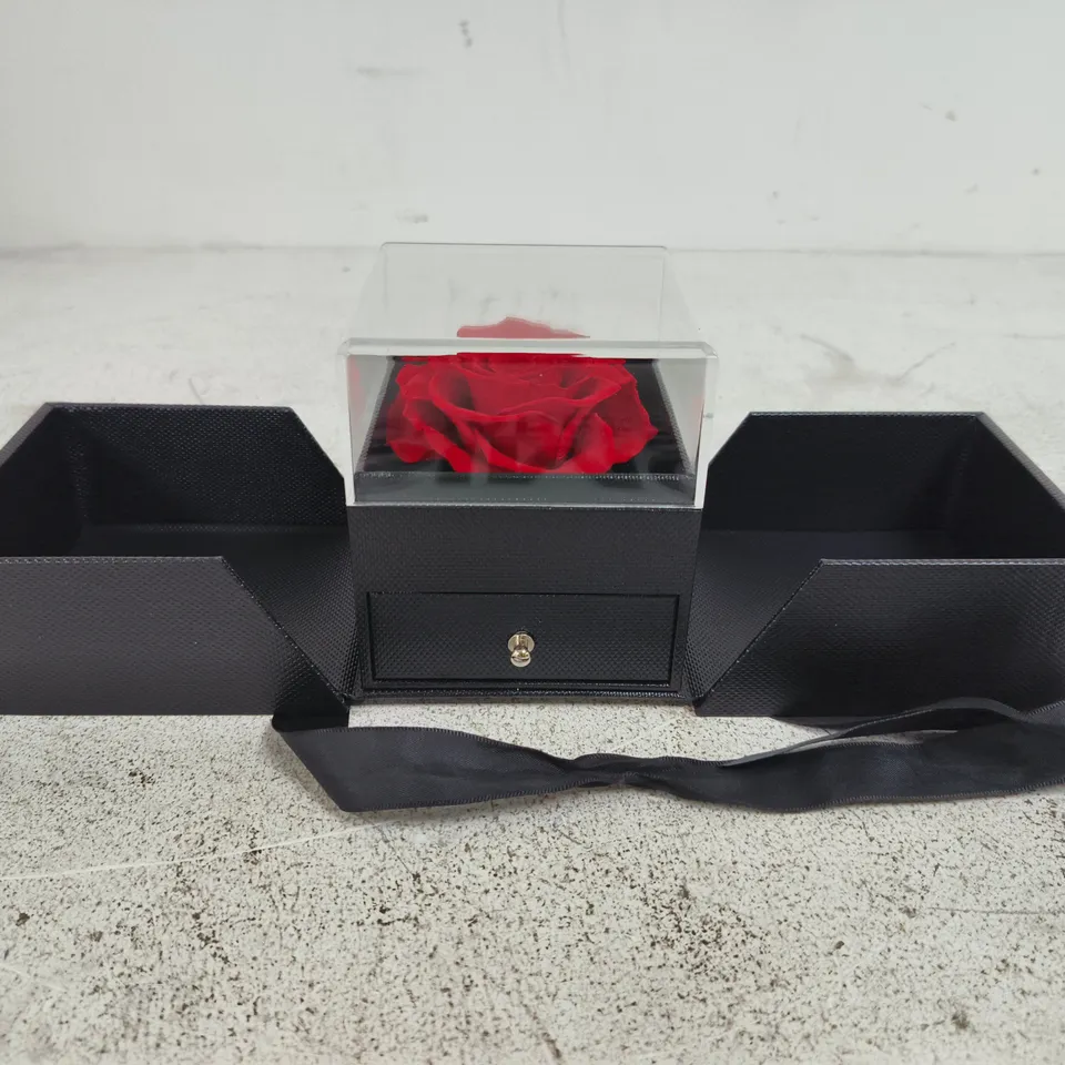 TANNESS PRESERVED RED ROSE & NECKLACE IN BLACK PRESENTATION BOX