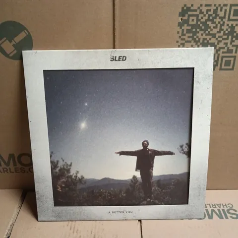 SLED A BETTER YOU VINYL