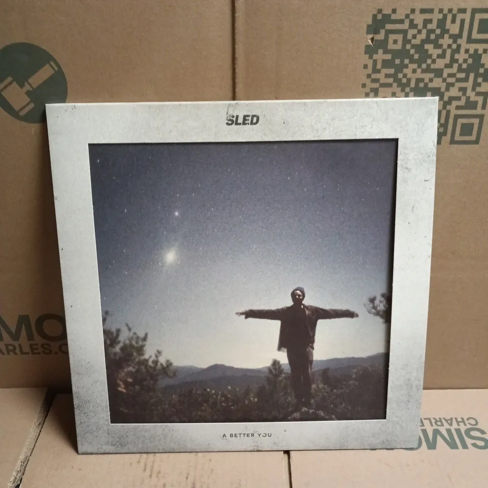 SLED A BETTER YOU VINYL