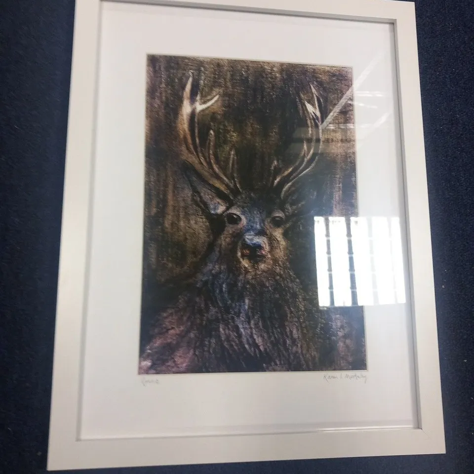 KAREN I. MACANLAY RONNIE FRAMED PRINT