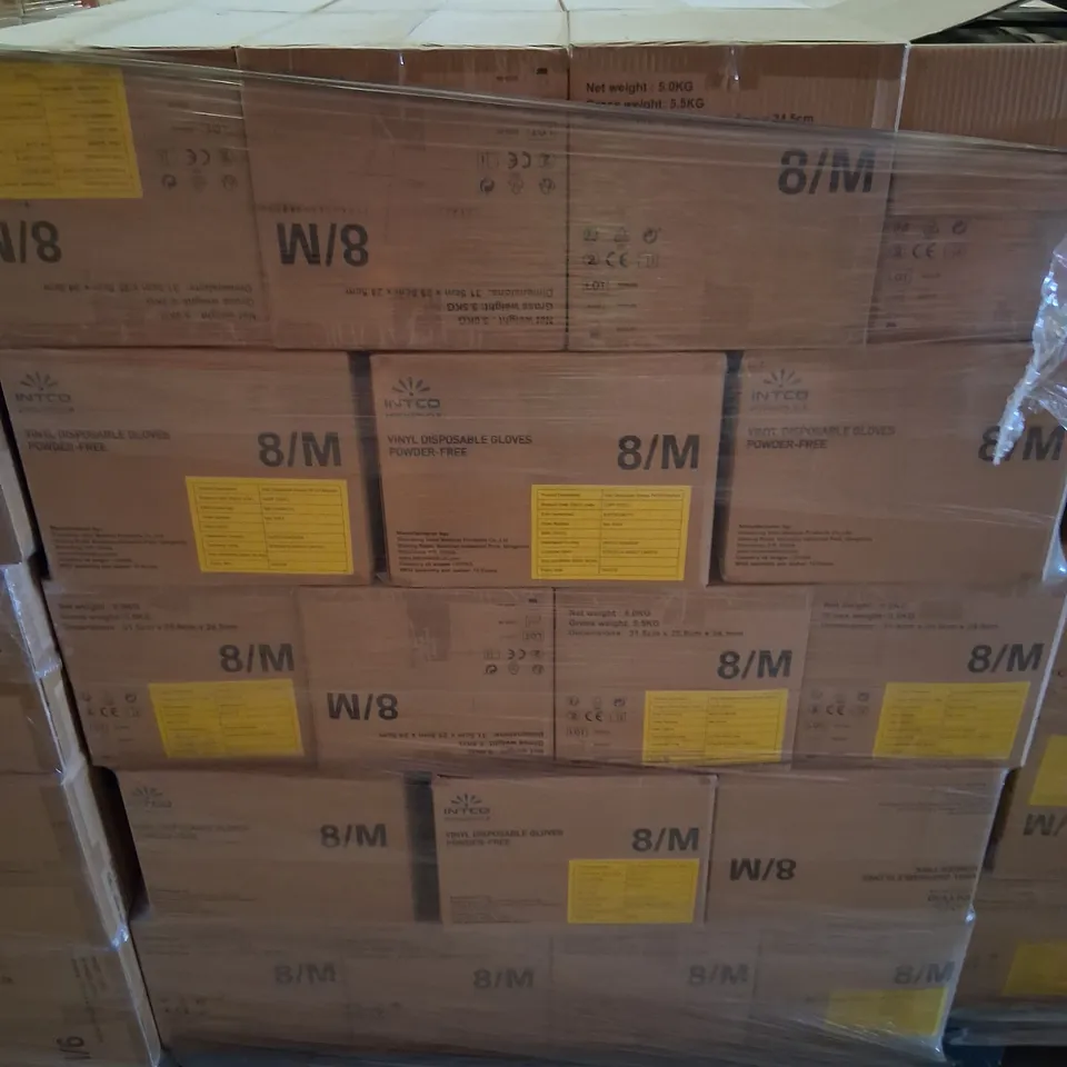 PALLET OF APPROXIMATELY 70 CARTONS OF TEN BOXES OF BRAND NEW INTCO VINYL DISPOSABLE GLOVES POWDER FREE 8/M 100 PAIRS PER BOX