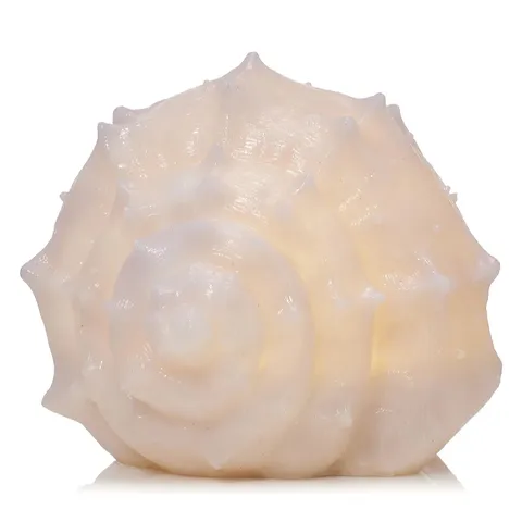GARDEN REFLECTIONS COASTAL EDIT SHELL LED BATTERY OPERATED OUTDOOR LIGHT