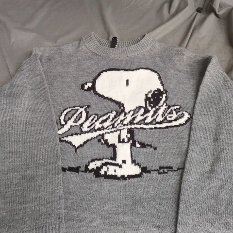 H&M DIVIDED PEANUTS SNOOPY KNIT JUMPER, GREY XS