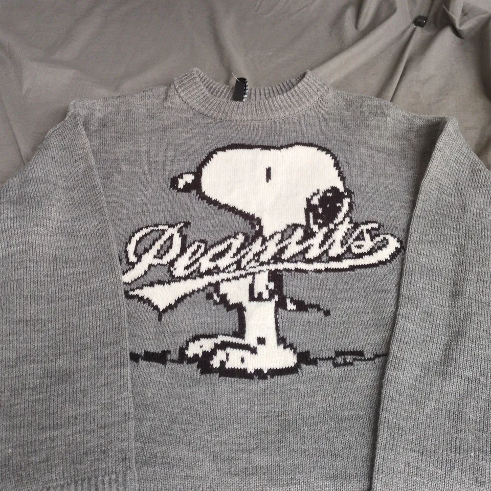 H&M DIVIDED PEANUTS SNOOPY KNIT JUMPER, GREY XS