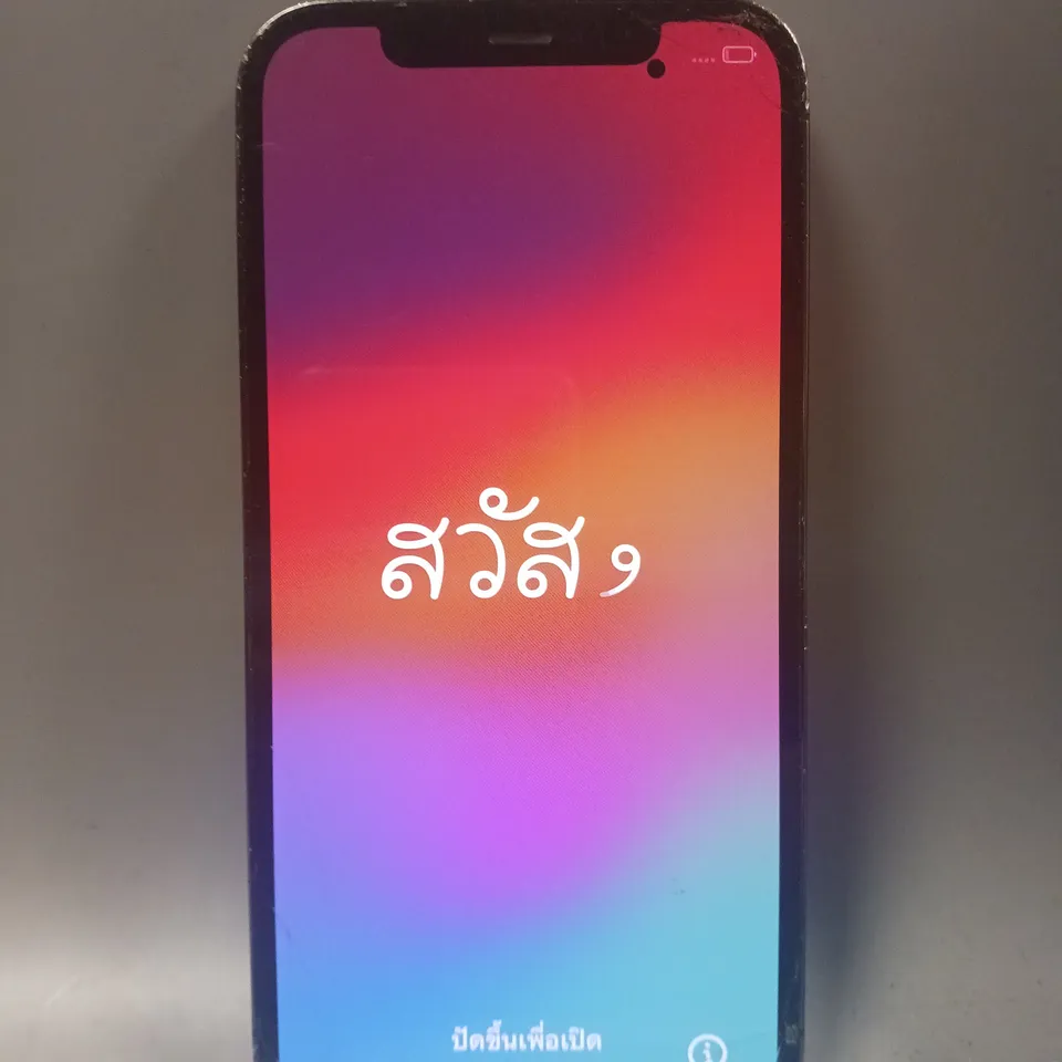 APPLE IPHONE 12 PRO MAX 