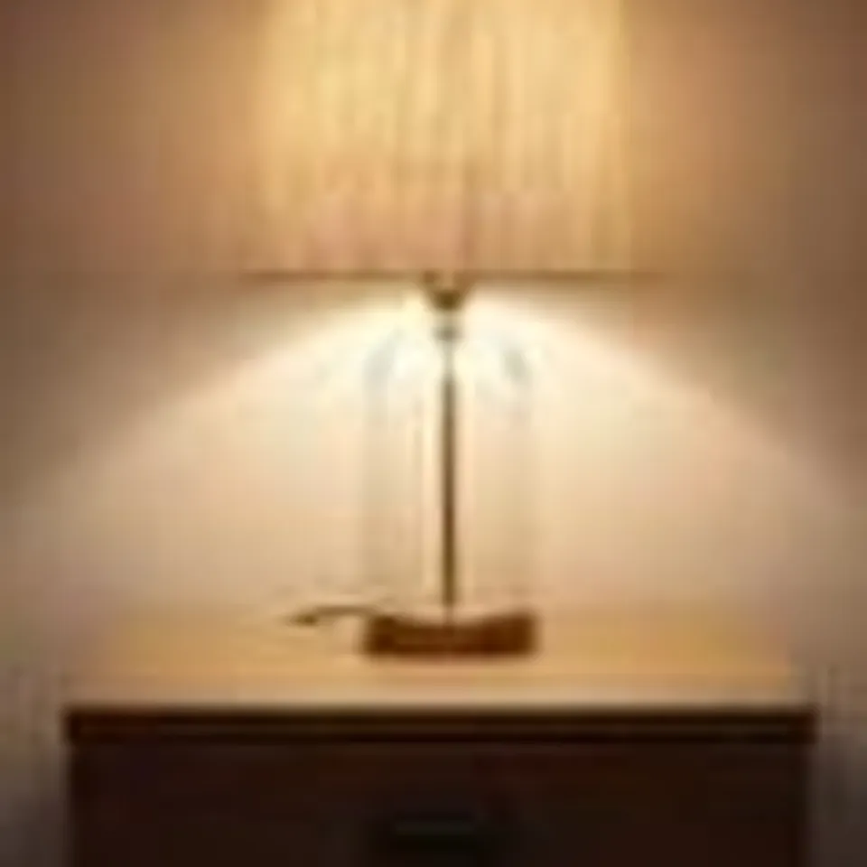 BOXED BRYSE 48CM CLEAR LAMP (1 BOX)