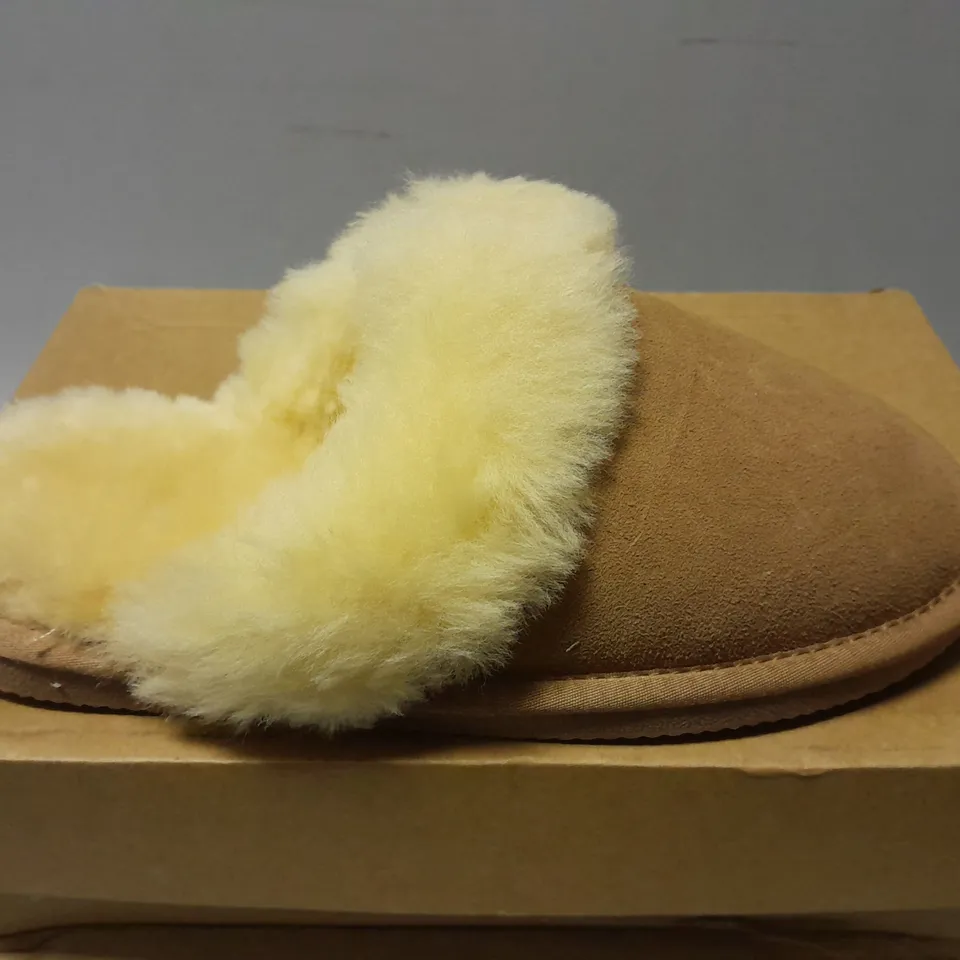 BOXED PAIR OF ARTHUR CAMERON DIASY SLIPPERS IN CHESTNUT - SIZE 5