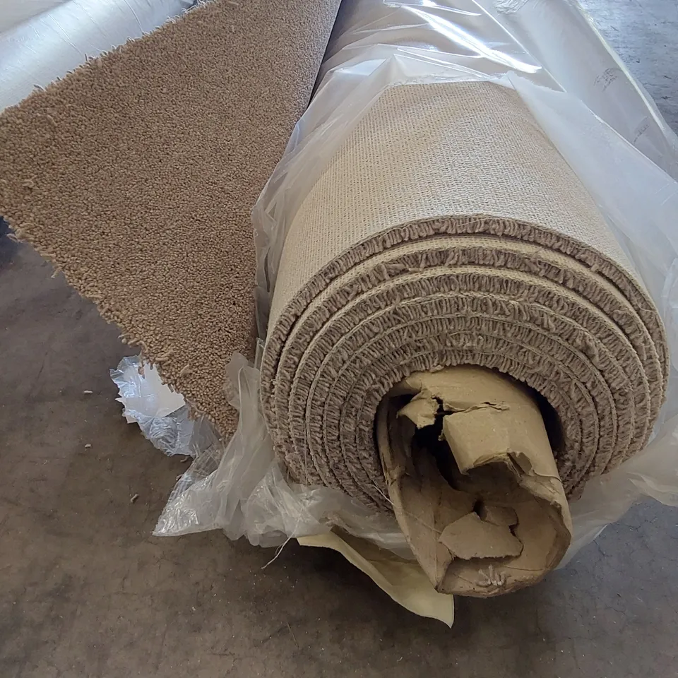 ROLL OF QUALITY EC HEARTLAND BAYTON CARPET // SIZE: APPROX 4 X 6.2m