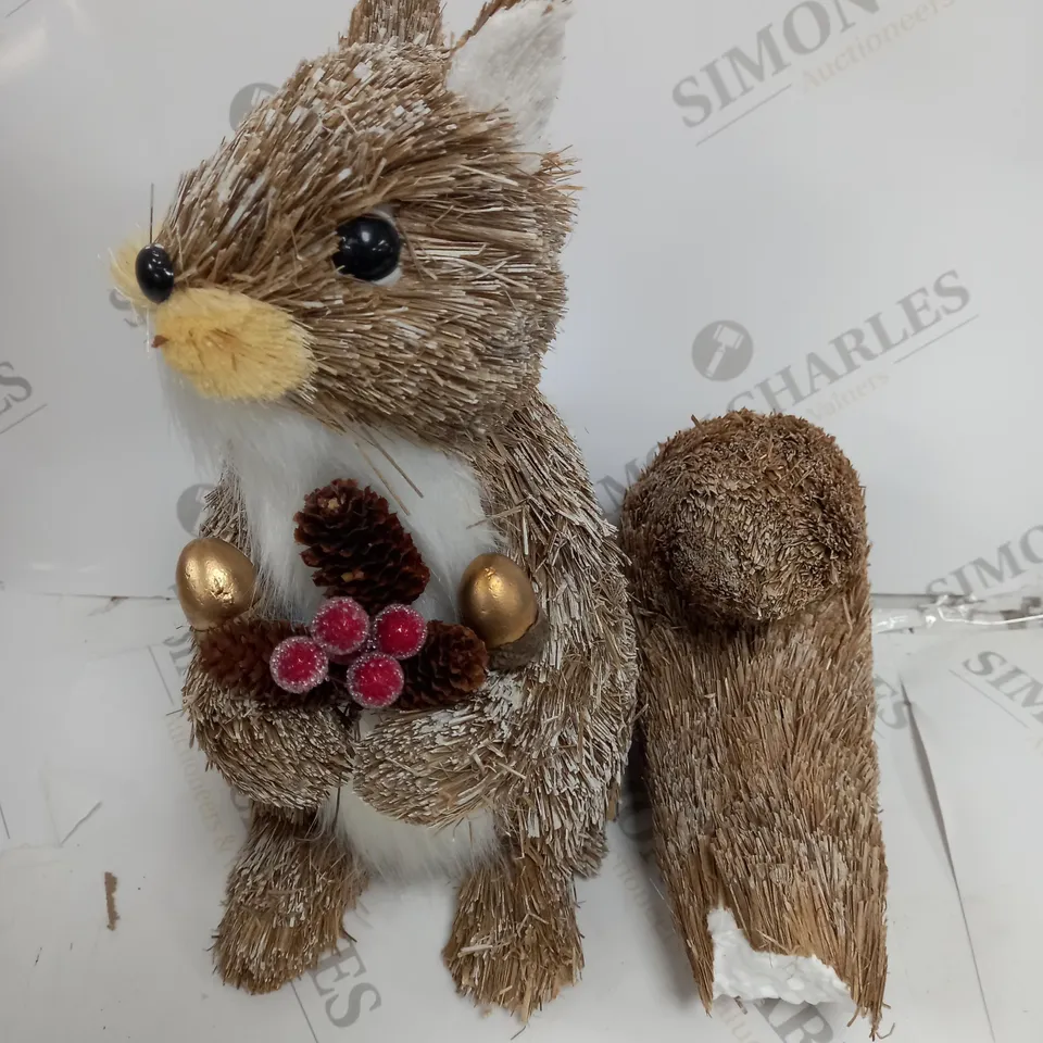 BRISTLE SQUIRREL RRP £19.99