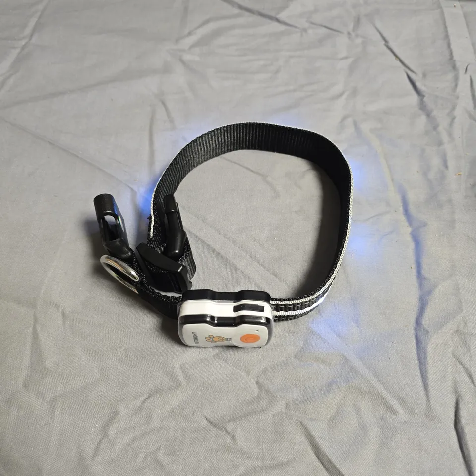 APPROXIMATELY 10 PETBRIGHT RECHARGEABLE LED DOG COLLAR