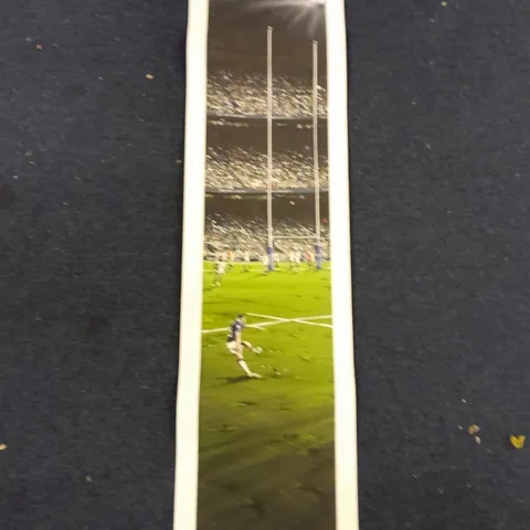 STUART HERDS FINN'S FINISHING TOUCH LIMITED EDITION PRINT