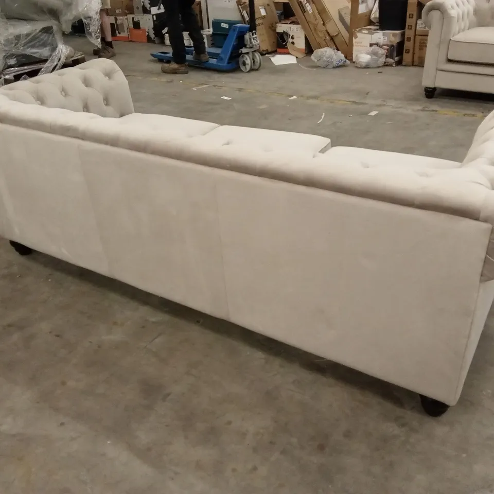 HAMPTON 3 SEATER CHESTERFIELD SOFA, CHAMPAGNE CLASSIC VELVET