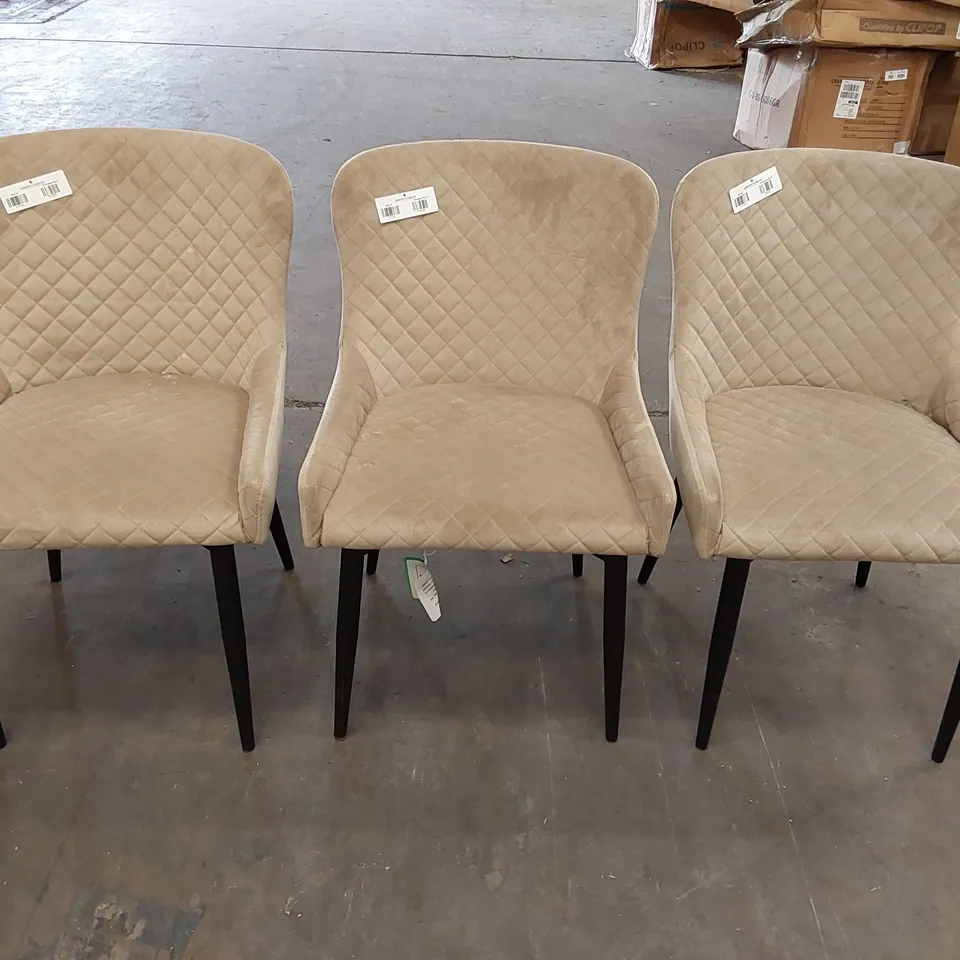 SET OF 3 DESIGNER BEIGE VELVET DINING CHAIRS (3 ITEMS)