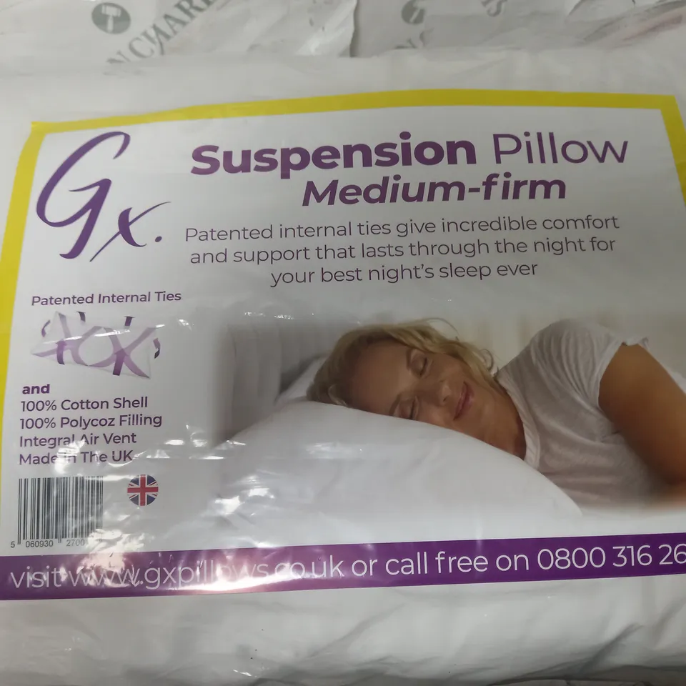 BOX OF 2 ASSORTED PILLOWS - X1LIKE DOWN, X1 SUSPENSION MEDIUM FIRM.