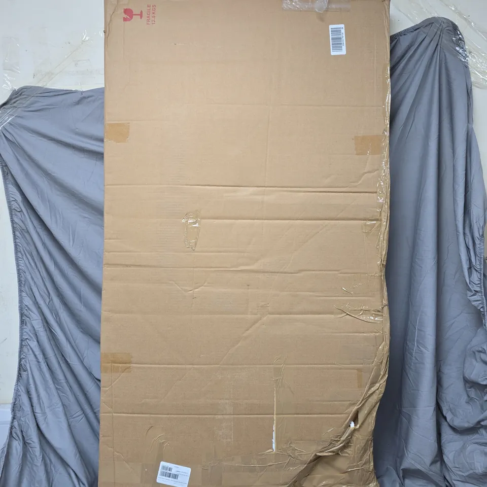 GARDEN STORIES LARGE 60 X 120CM METAL DECORATIVE MIRROR PANEL 