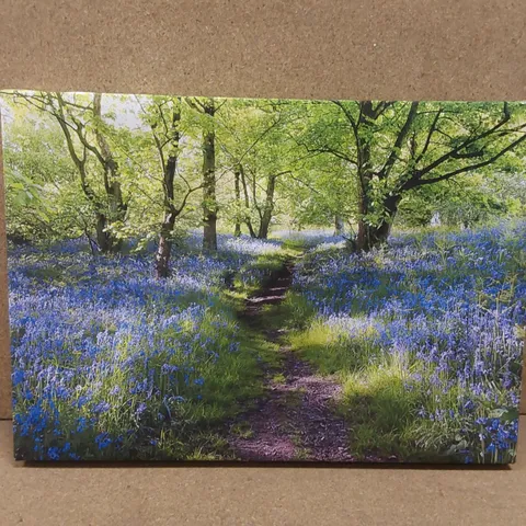 PATH THROUGH THE BLUEBELLS FOREST - WRAPPED CANVAS 