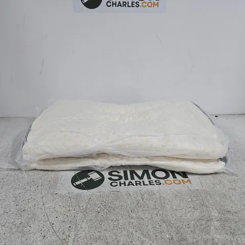 SET OF 2 PILLOWS