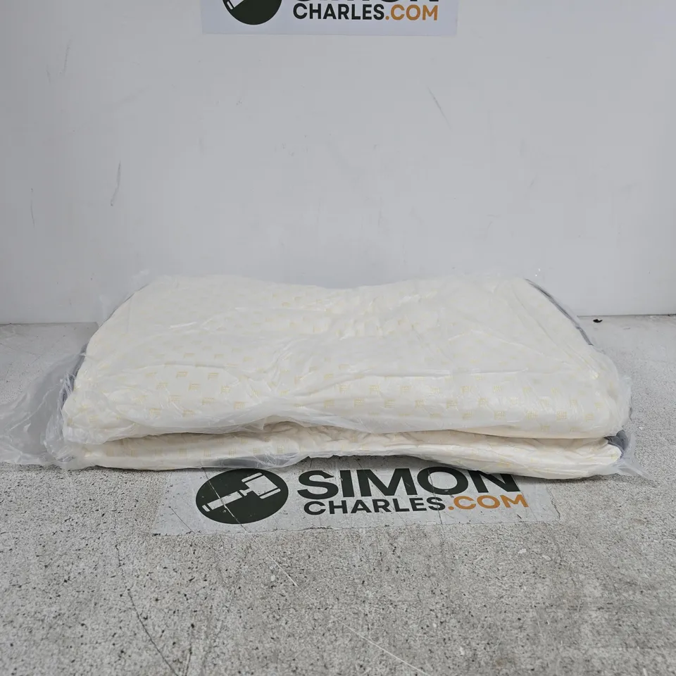 SET OF 2 PILLOWS