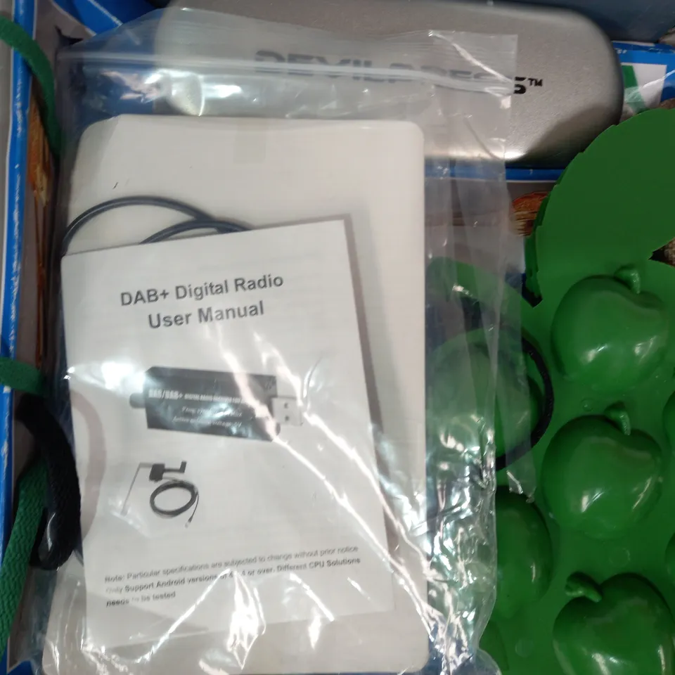 LOT OF APPROXIMATELY 10 ASSORTED HOUSEHOLD ITEMS TO INCUDE RDX MAX DIAMOND CUTTING DISC, CORONA LIME TREE GROWING KIT, ETC