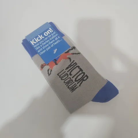 DARLEY SOCKS – GREY WITH BLUE TOE/HEEL