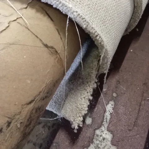 ROLL OF QUALITY FIRST IMPRESSIONS CLEAN CUT CARPET // APPROX SIZE: 4.5 x 5m