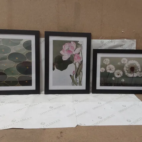 SET OF 3 ASSORTED FRAMED PRINTS
