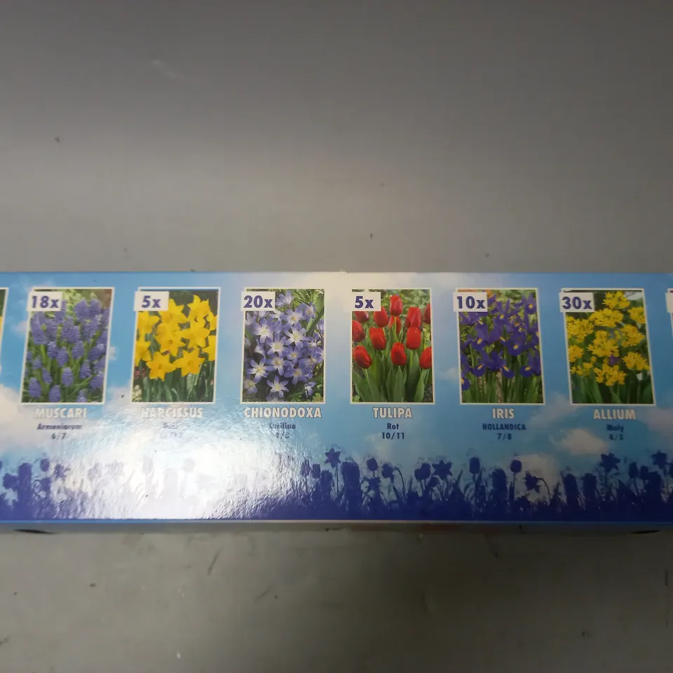 CRATE OF 8 101-BULB PACKS OF FLOWERS TO INCLUDE CROCUS, MUSCARI AND IRIS